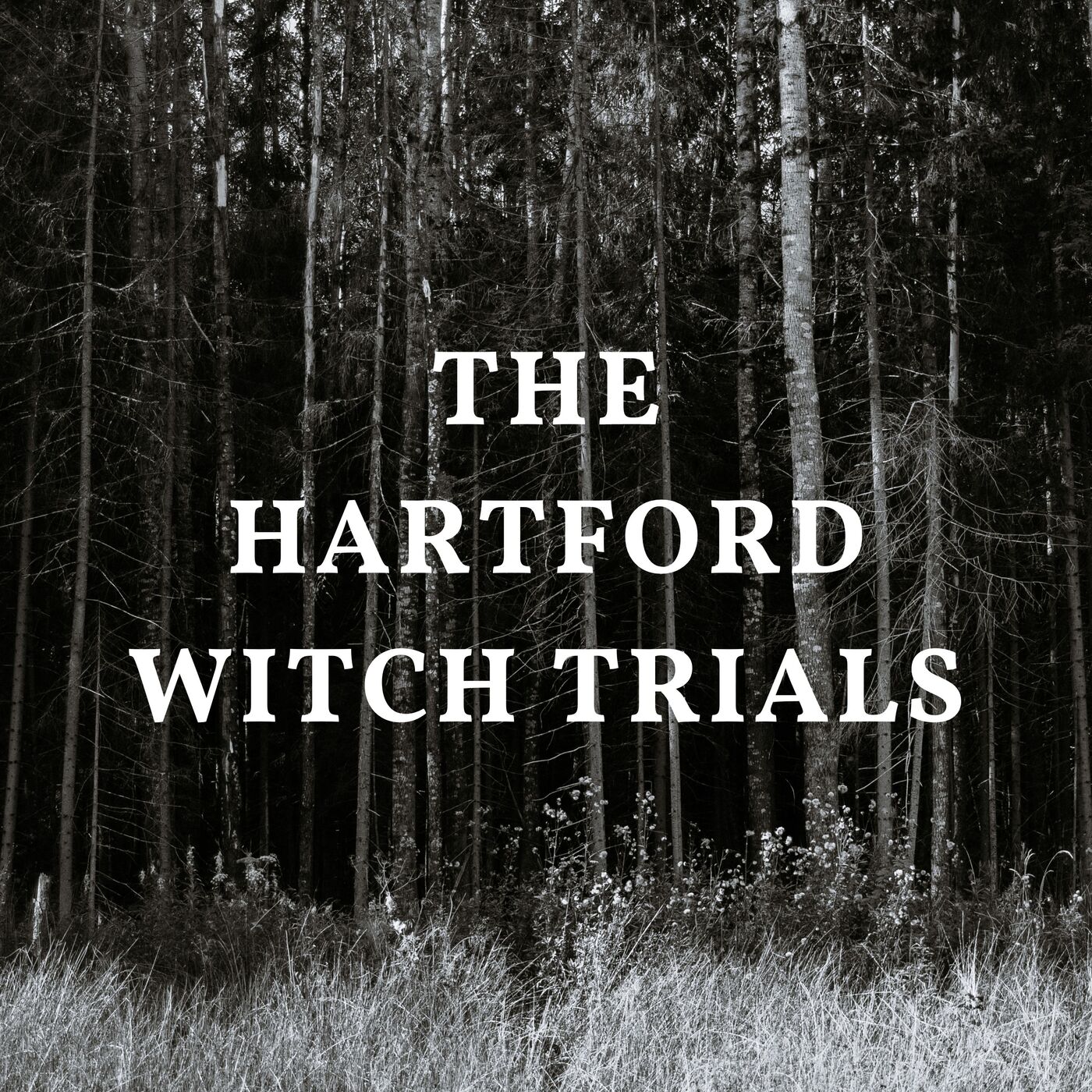 ⁣The Hartford Witch Trials