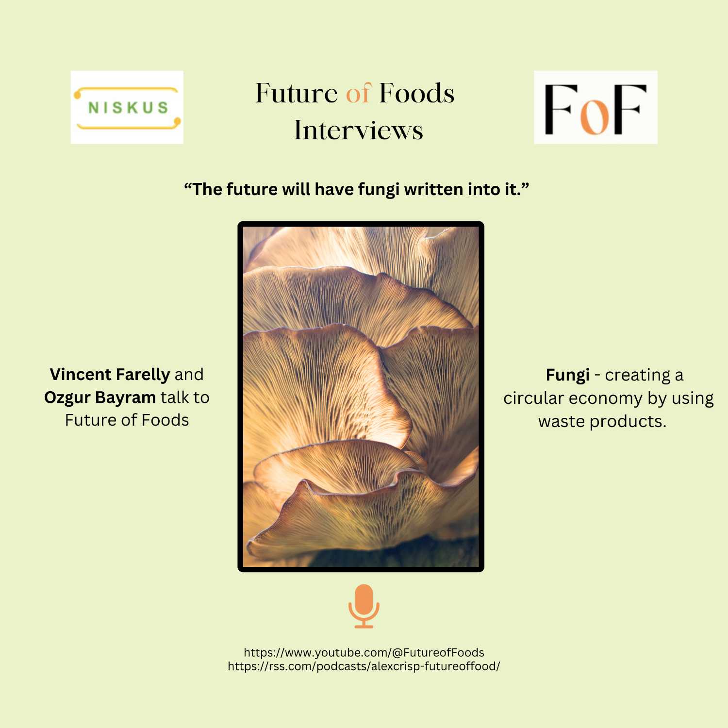 ⁣Fungi - creating a circular economy using waste products