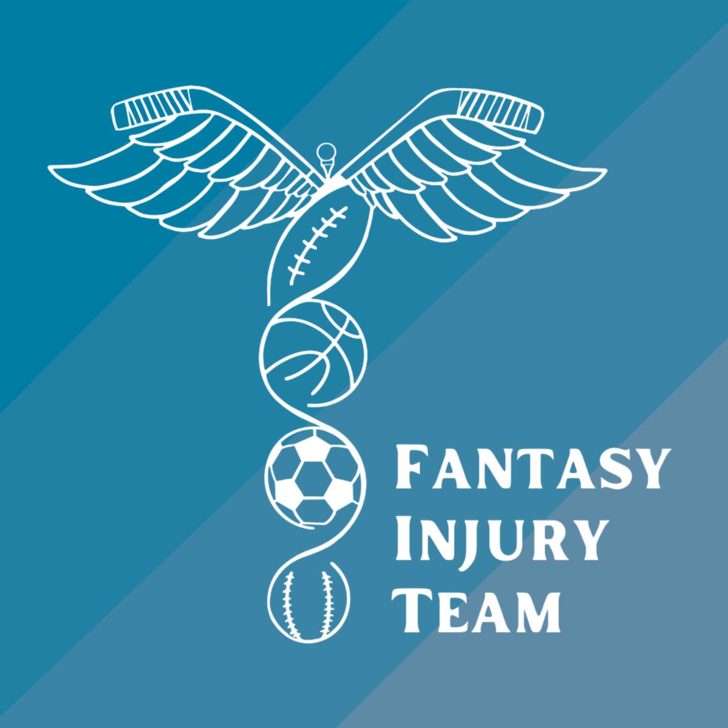 Fantasy Injury Team 