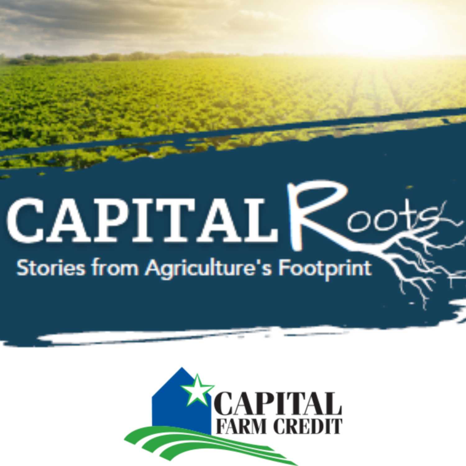 Capital Roots: Stories from Agriculture's Footprint 