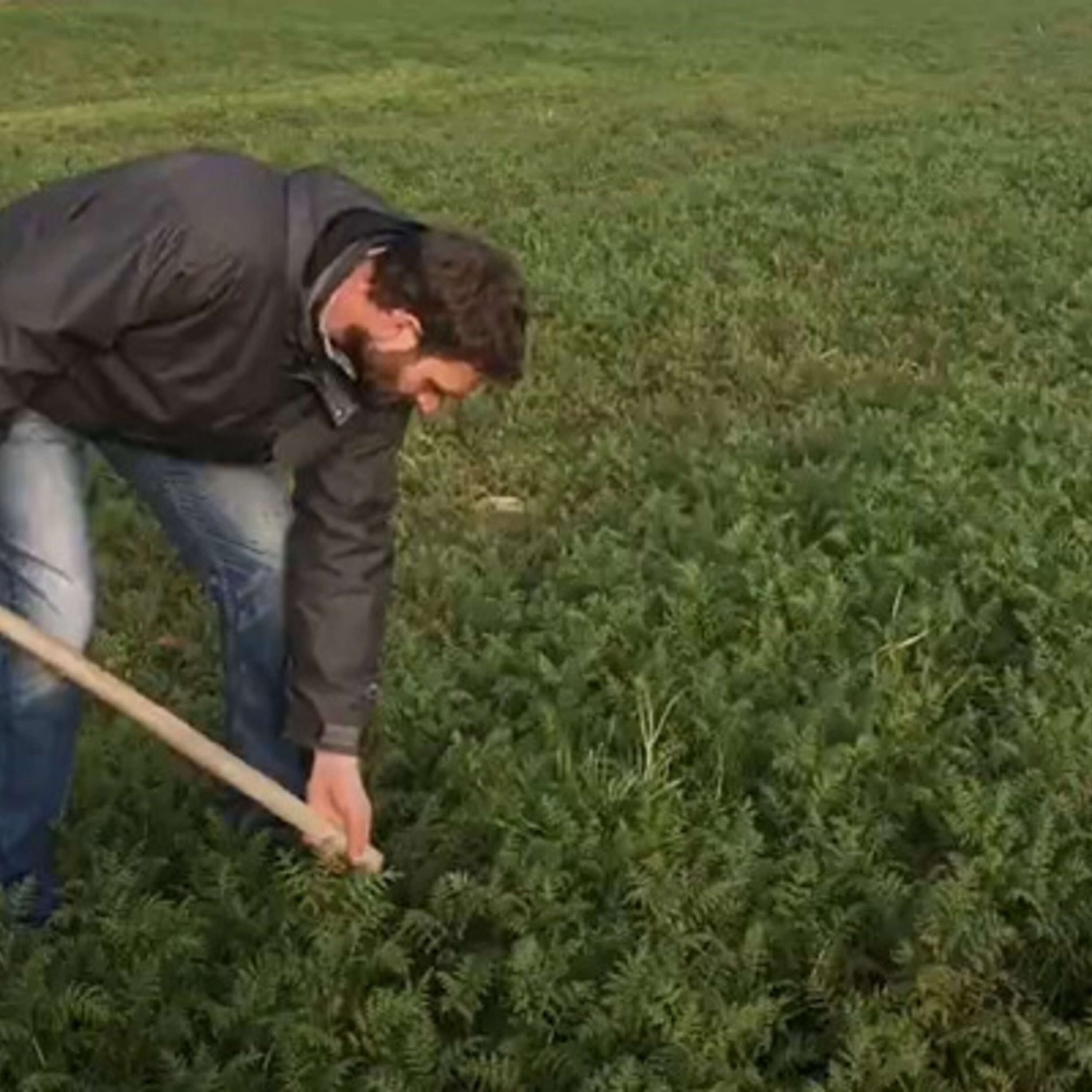 Soil management on Don Somers’ farm