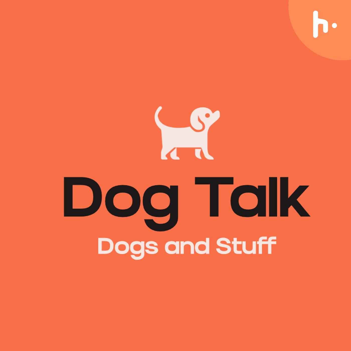 Episode 1: Choosing the perfect dog breed