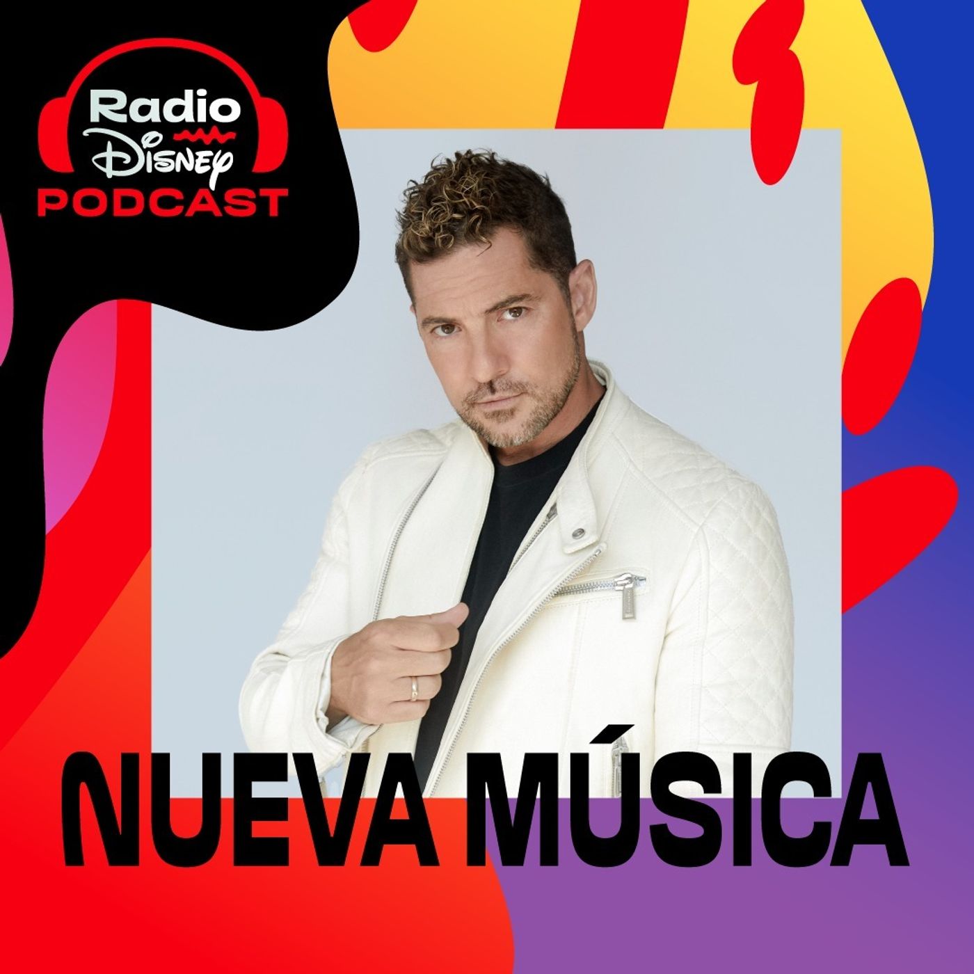 01/11| David Bisbal, Diego Torres, Camilo y más novedades.