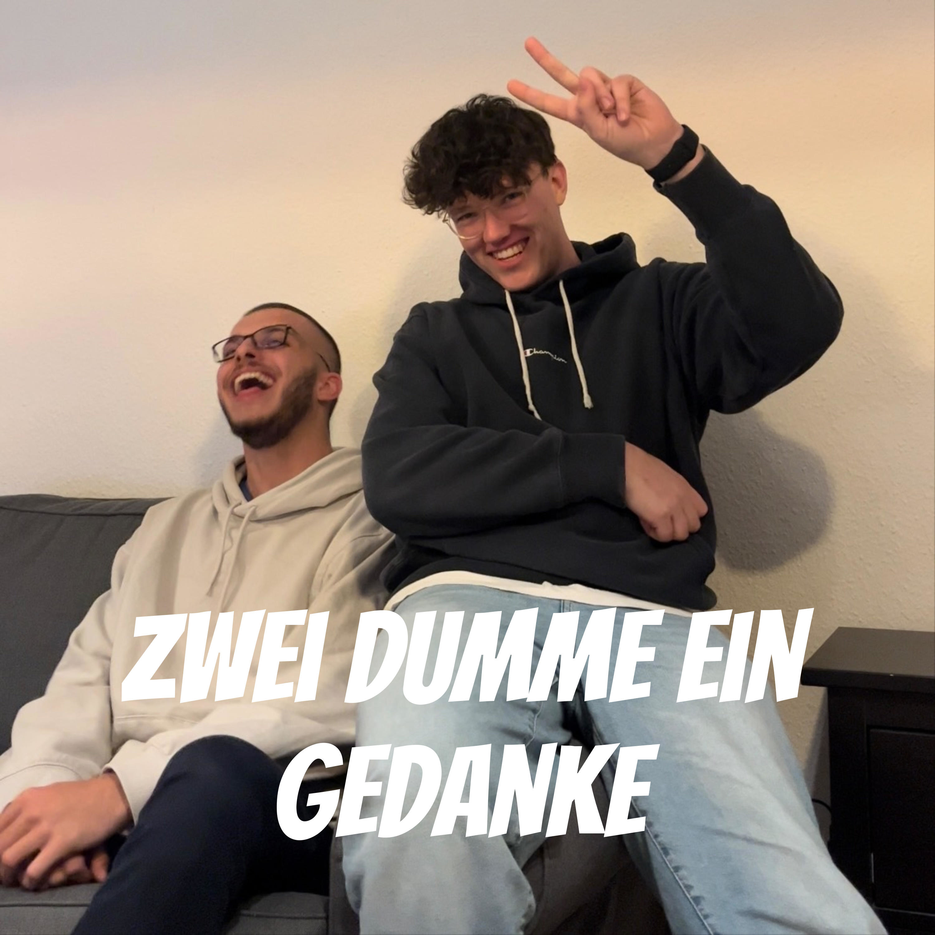 Zwei Dumme ein Gedanke 