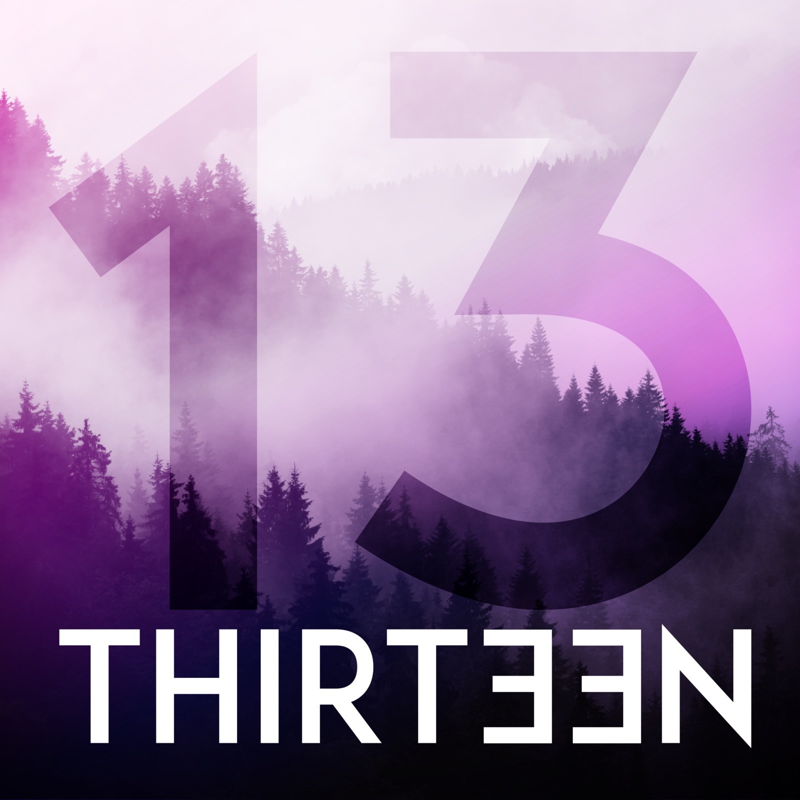 Thirteen 