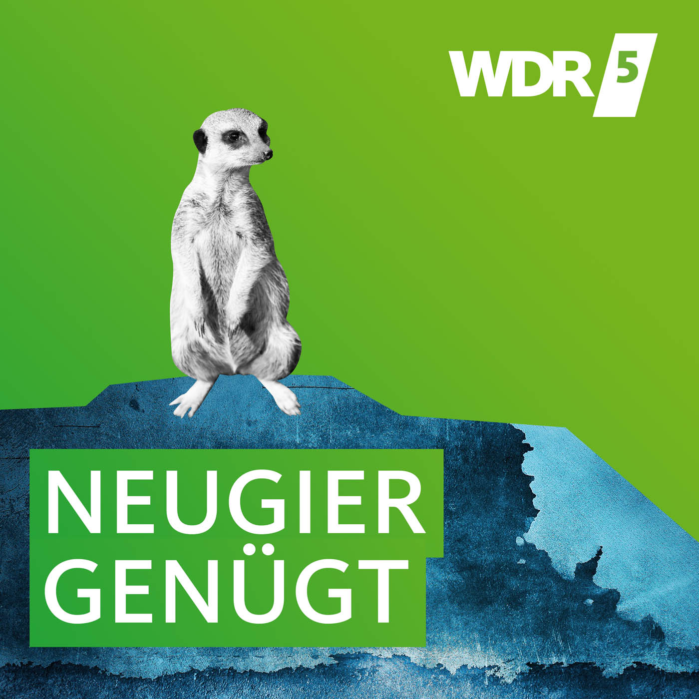 WDR 5 Neugier genügt Freifläche 