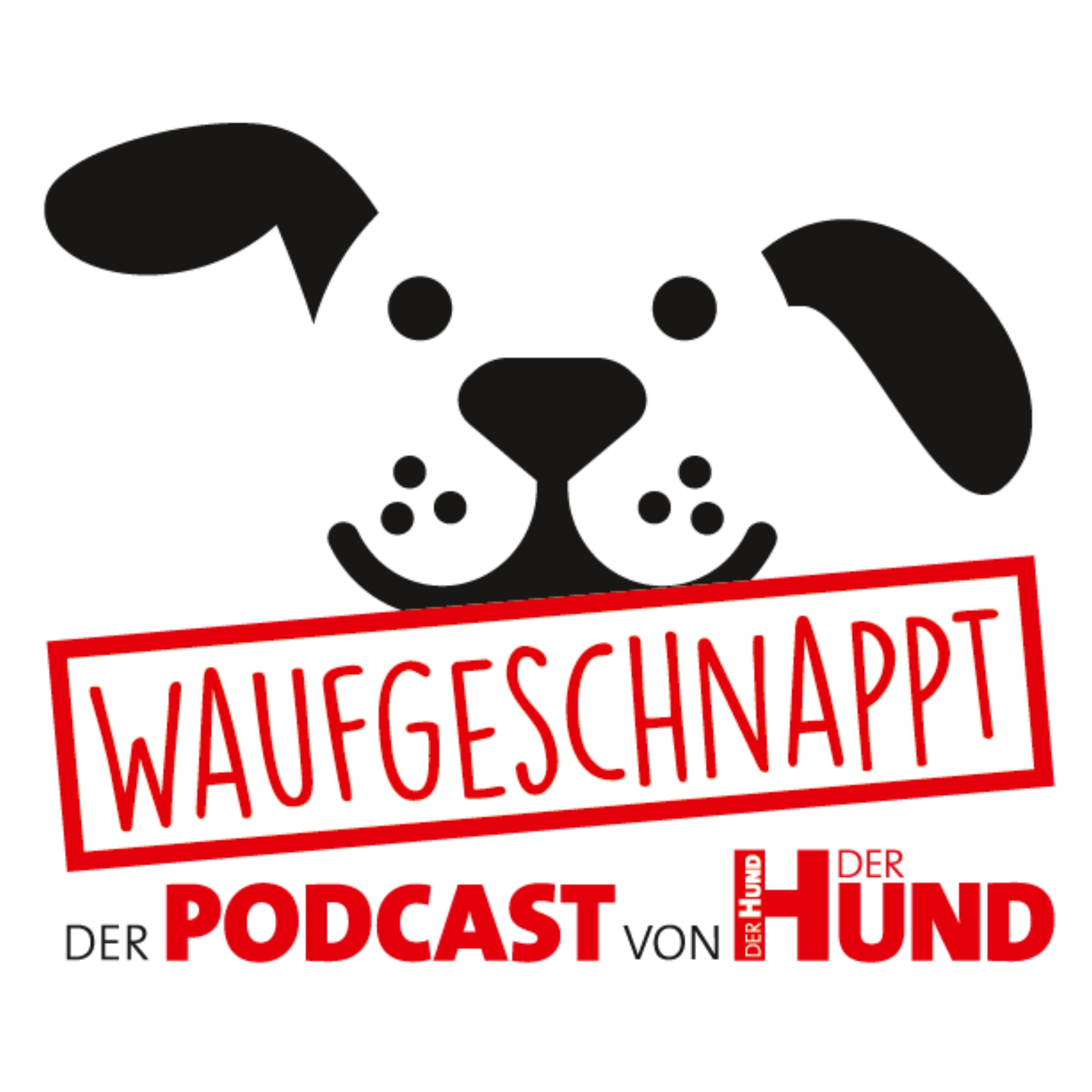 Waufgeschnappt - der Podcast von DER HUND 