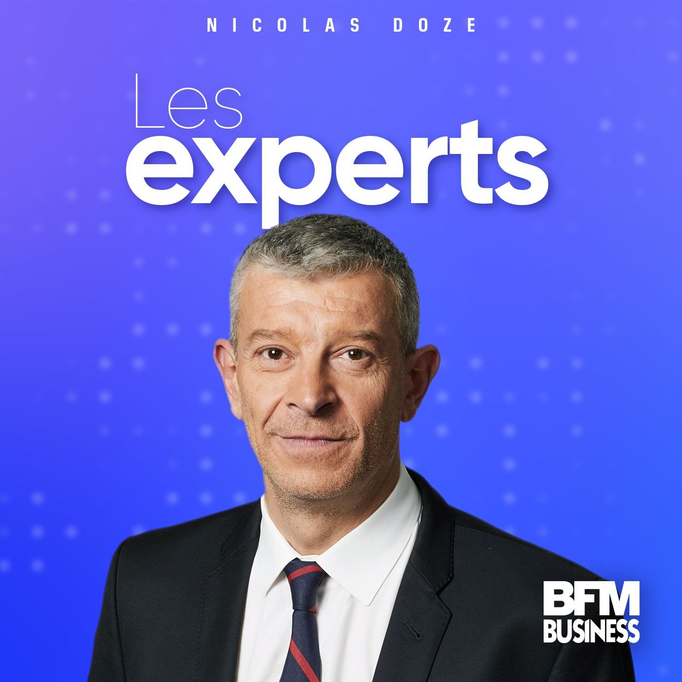 Les experts 