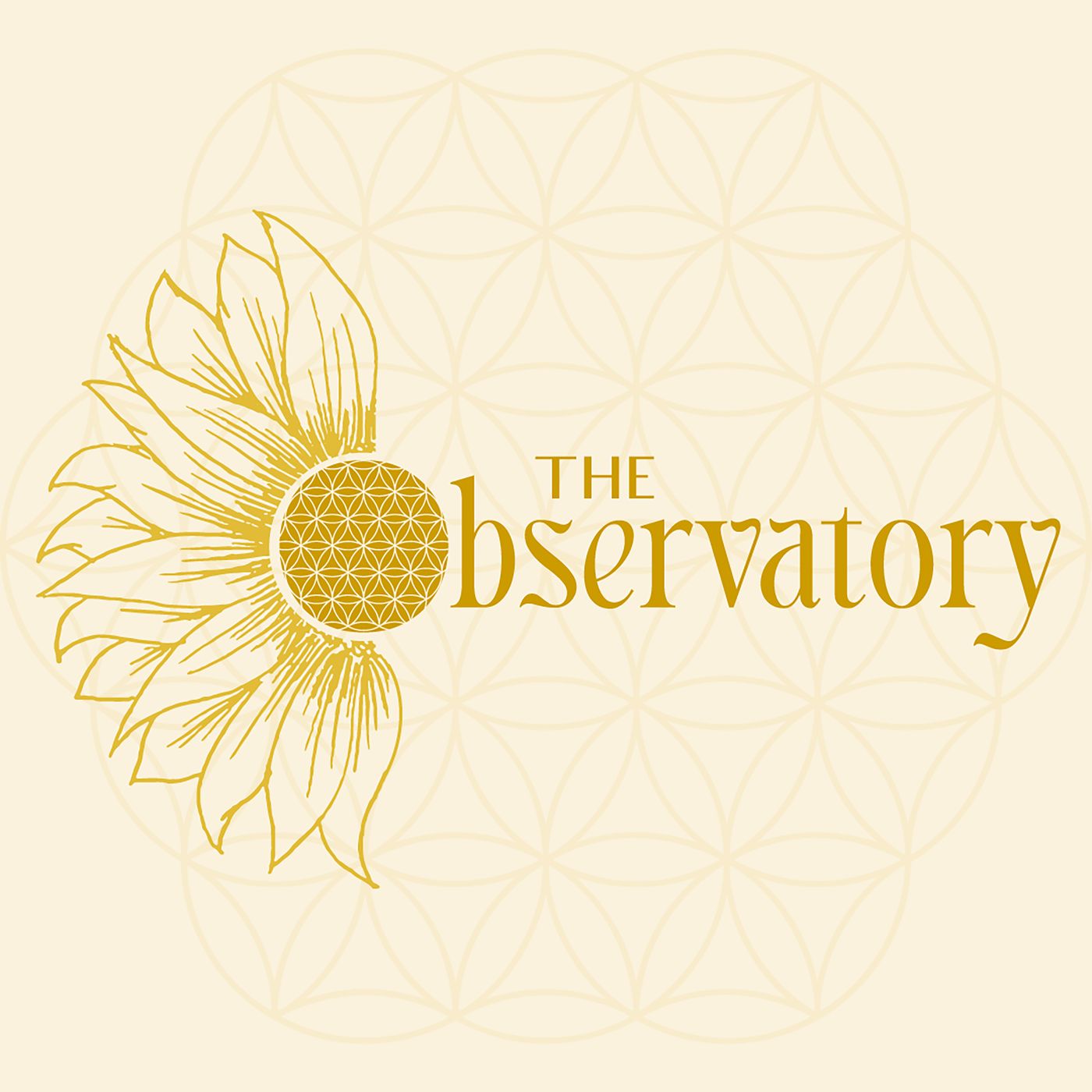 The Observatory | Discovery of Consciousness & Awareness 