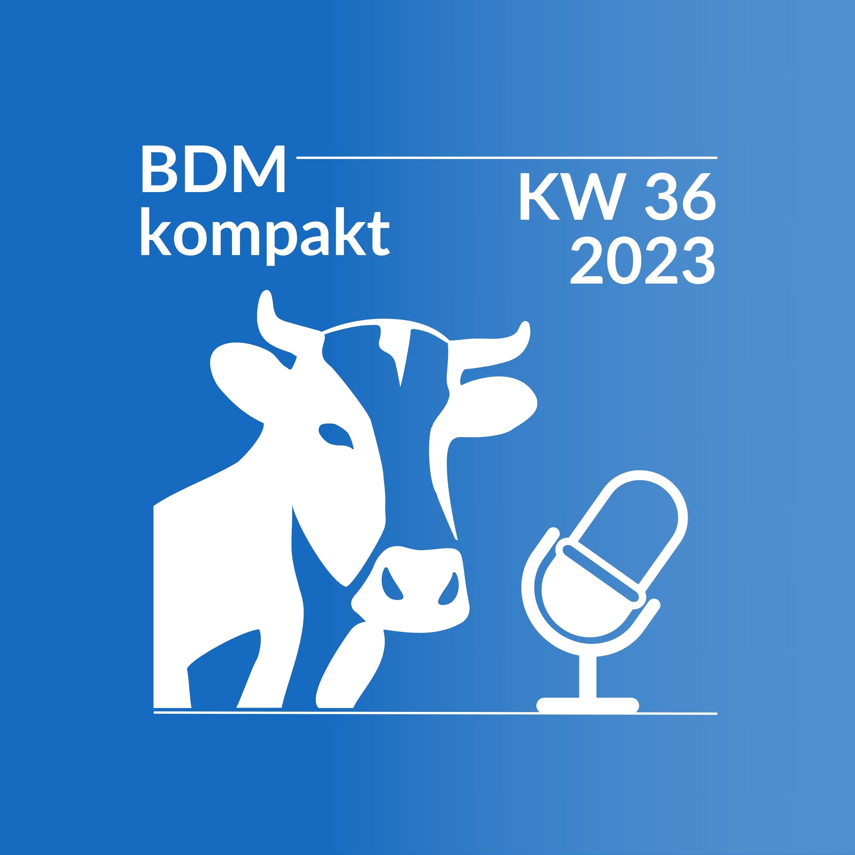 ⁣BDM kompakt KW 36/2023