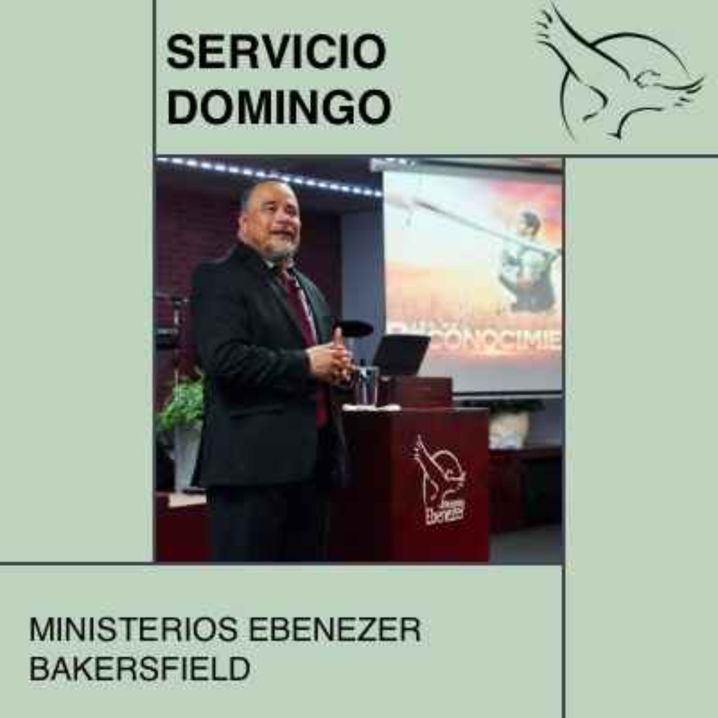 Servicio Domingo 