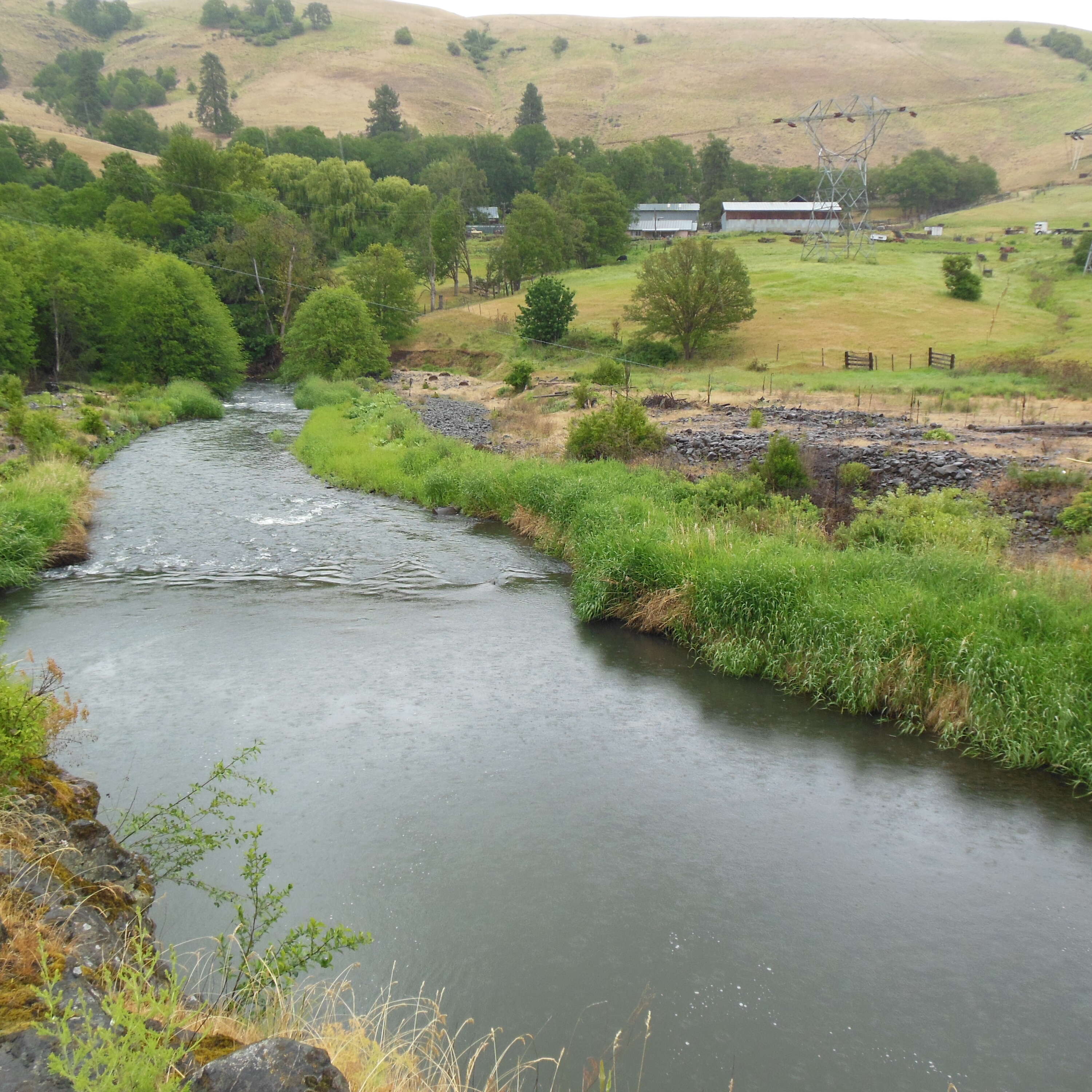 THE KLICKITAT VOICE 