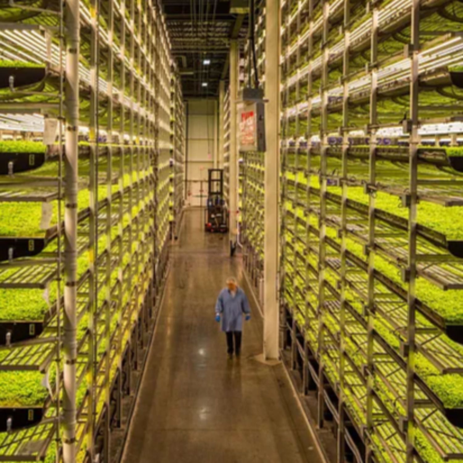 ⁣Minisode #2 - Climate Technology: Drought & Food Monitoring Systems and Vertical Farming