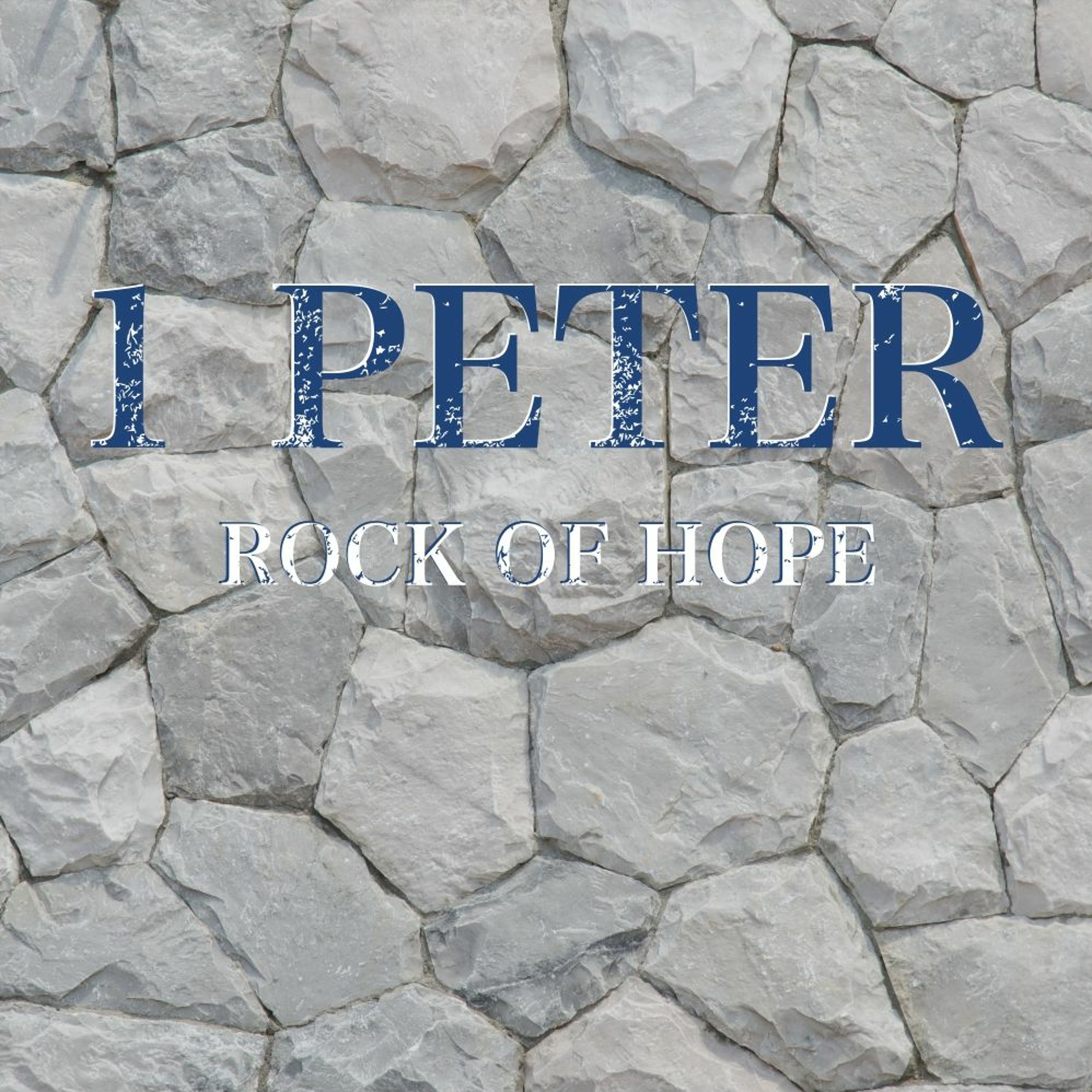 ⁣1 Peter 2:13-17 - Submit to Serve