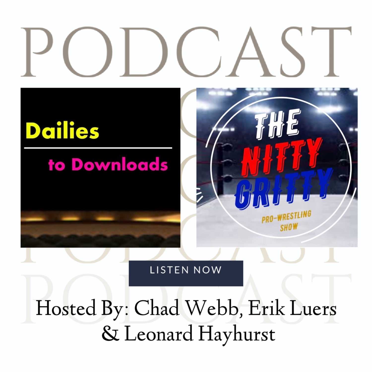 Dailies to Downloads & The Nitty Gritty 