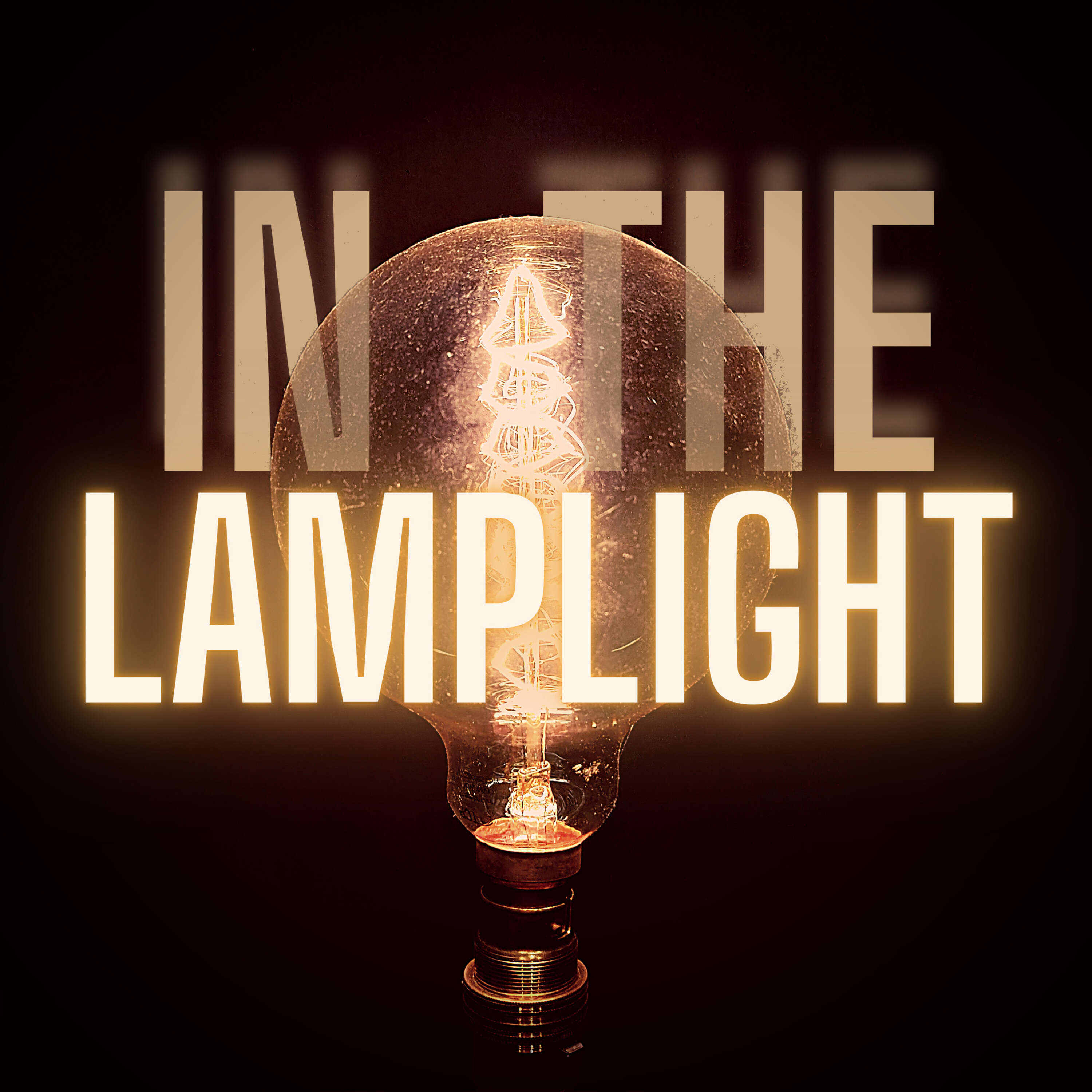 In The Lamplight 