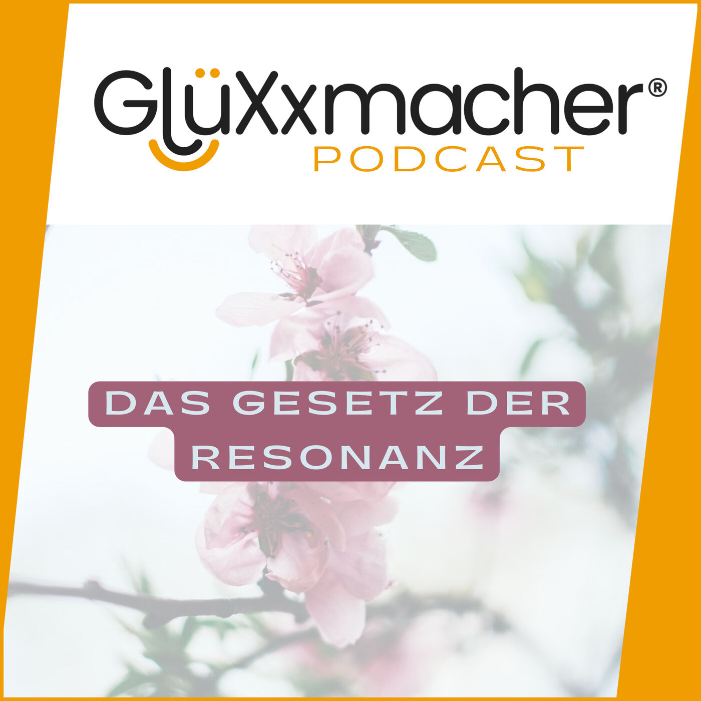 ⁣# 020 Gesetz der Resonanz