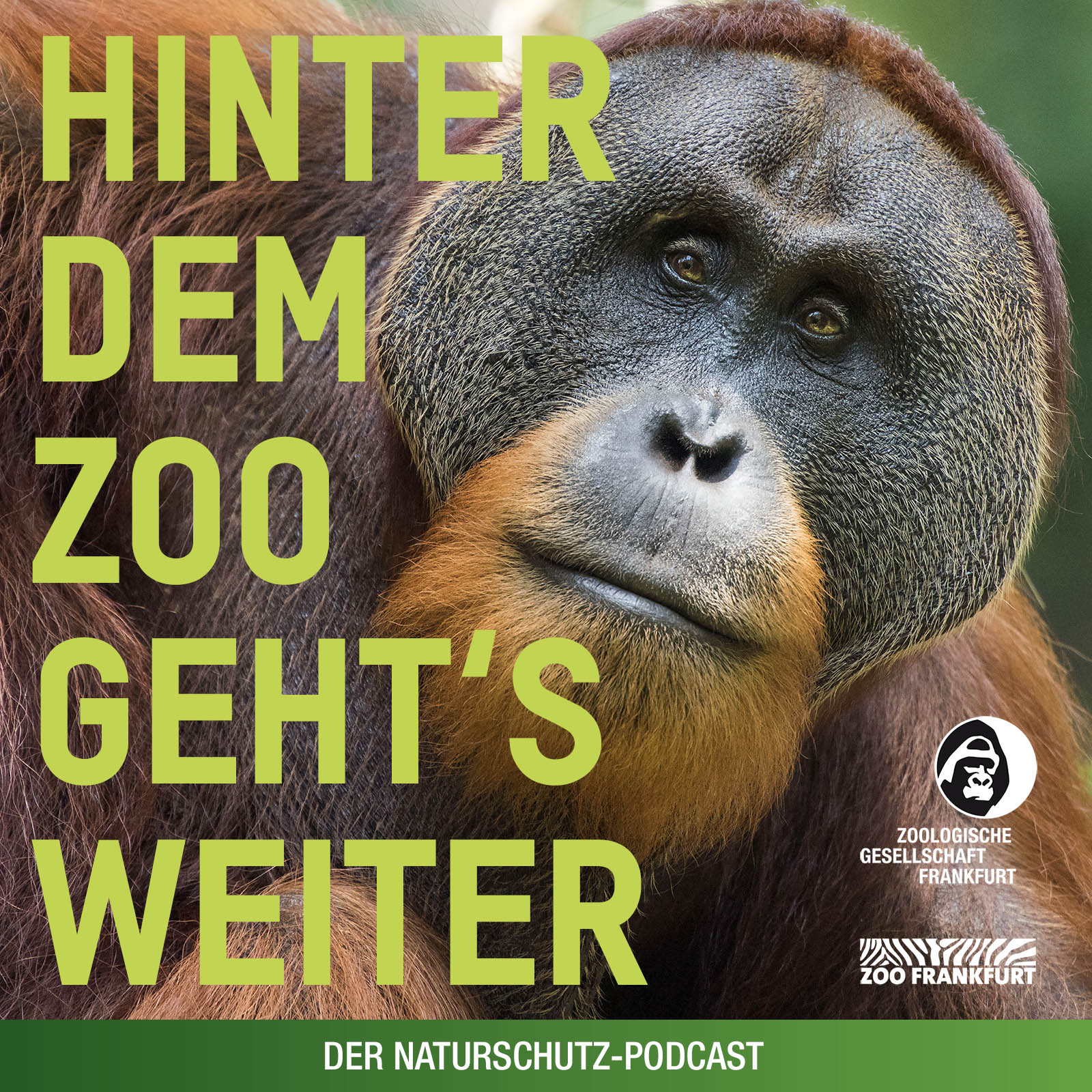 Hinter dem Zoo geht's weiter - Der Naturschutzpodcast aus Frankfurt 