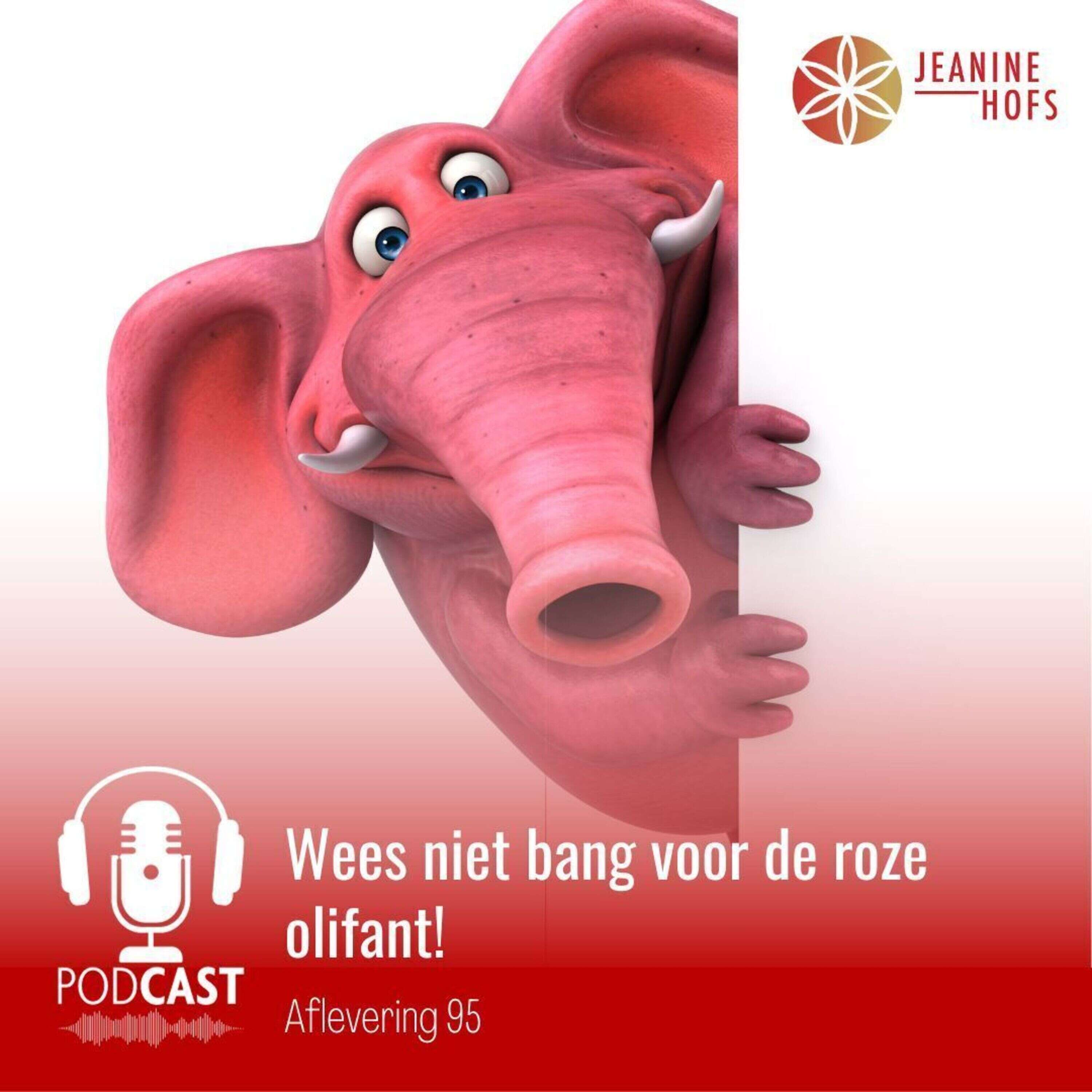 ⁣Wees niet bang voor de roze olifant!